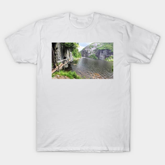 Avalanche Pass - Adirondacks T-Shirt by PodDesignShop